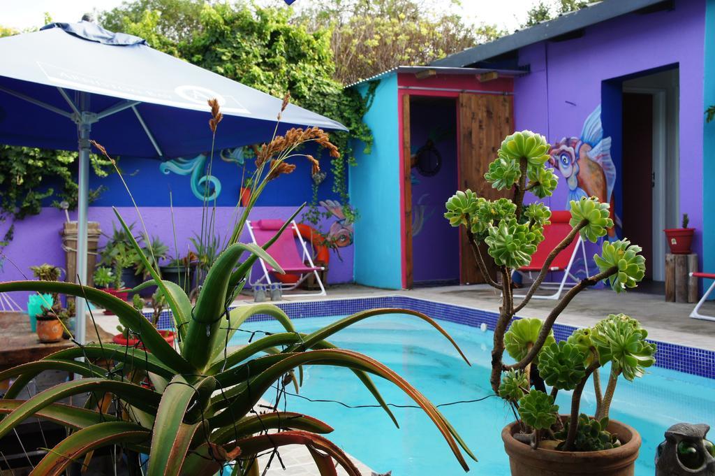 Cape Agulhas BACKPACKERS Struisbaai Quarto foto